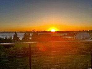 Property grounds - Spectacular Cabin with Hot-Tub and Modern Indoor in Canada (North Rustico)