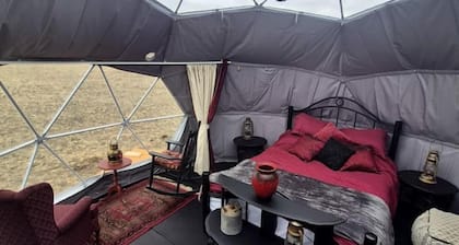 Cozy Geodesic Glamping Dome on a Canadian Ranch with Horses, Perfect for a Weekend of Wellness