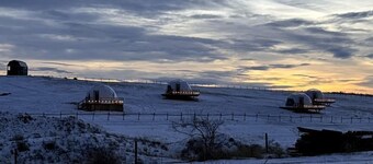 Cozy Geodesic Glamping Dome on a Canadian Ranch with Horses, Perfect for a Weekend of Wellness