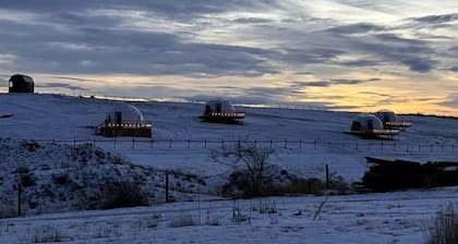 Cozy Geodesic Glamping Dome on a Canadian Ranch with Horses, Perfect for a Weekend of Wellness