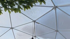 未分类图片，第 5 张，共 9 张，按钮