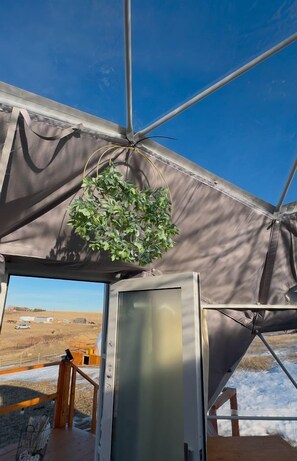 A tent with a view of a snowy landscape, a hanging plant, and a door. - Simple and Elegant Geodesic Glamping Dome for a Relaxing Weekend to Disconnect Outside of Redcliff, Alberta, Canada (Redcliff)