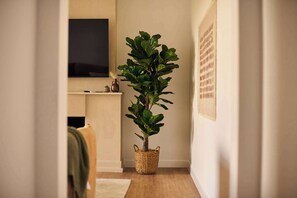 Un pasillo con una planta grande en maceta, un televisor de pantalla plana montado en la pared y un cuadro enmarcado.