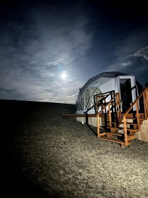 A dome-shaped tent with a staircase leading to the entrance, set on a grassy field under a night sky with a visible moon.