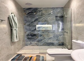 Shower, towels, toilet paper