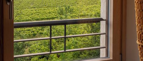 A window with a view of a vineyard and distant mountains.