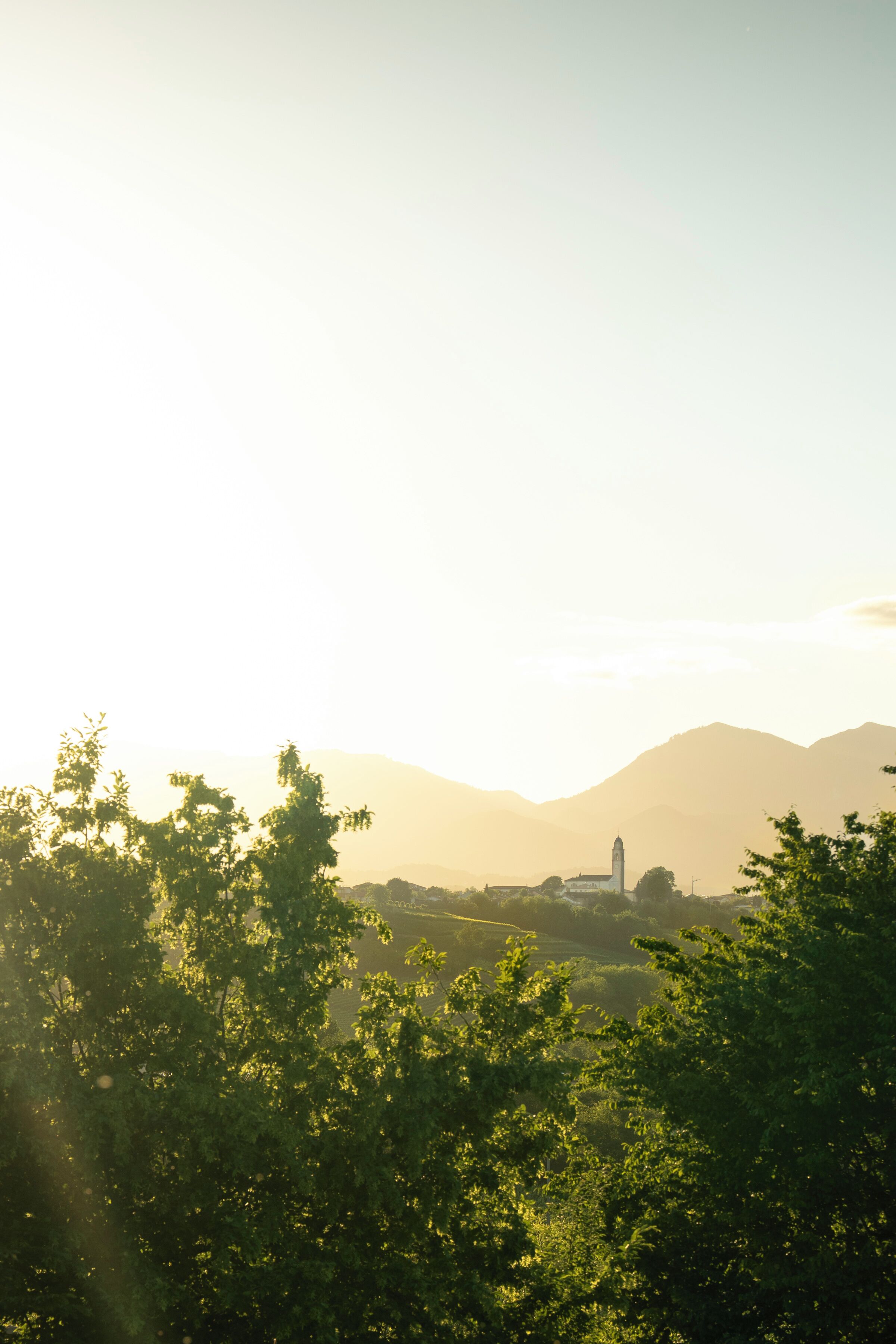 A landscape with a mountain range, trees, and a building with a tower.