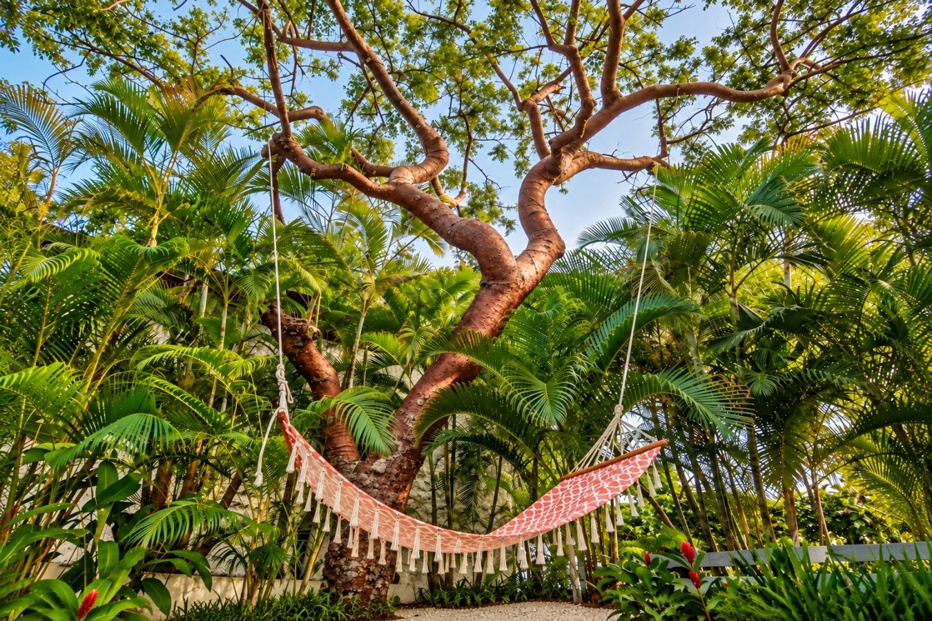 Take a reading break in the shared garden hammock, tucked beneath a leafy canopy and surrounded by palms.