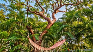 Take a reading break in the shared garden hammock, tucked beneath a leafy canopy and surrounded by palms.