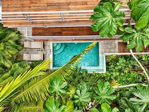 Ein Dachpool, umgeben von üppiger tropischer Vegetation.