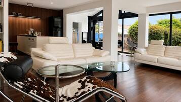 TV, fireplace, books, music library