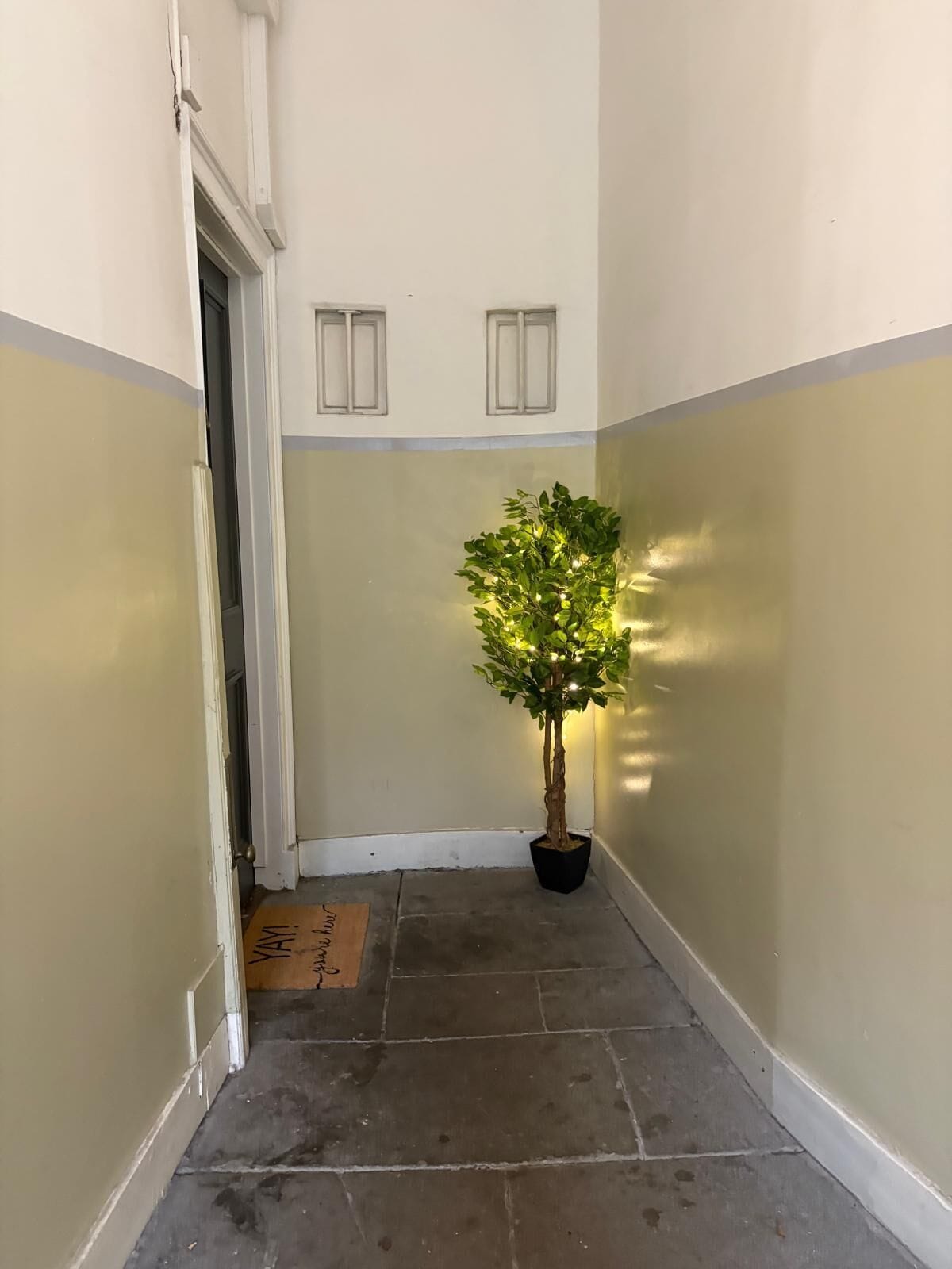 A narrow hallway with a potted plant, a doormat, and a door.