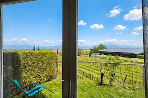 A room with a large window overlooking a vineyard, a chair, and a door.