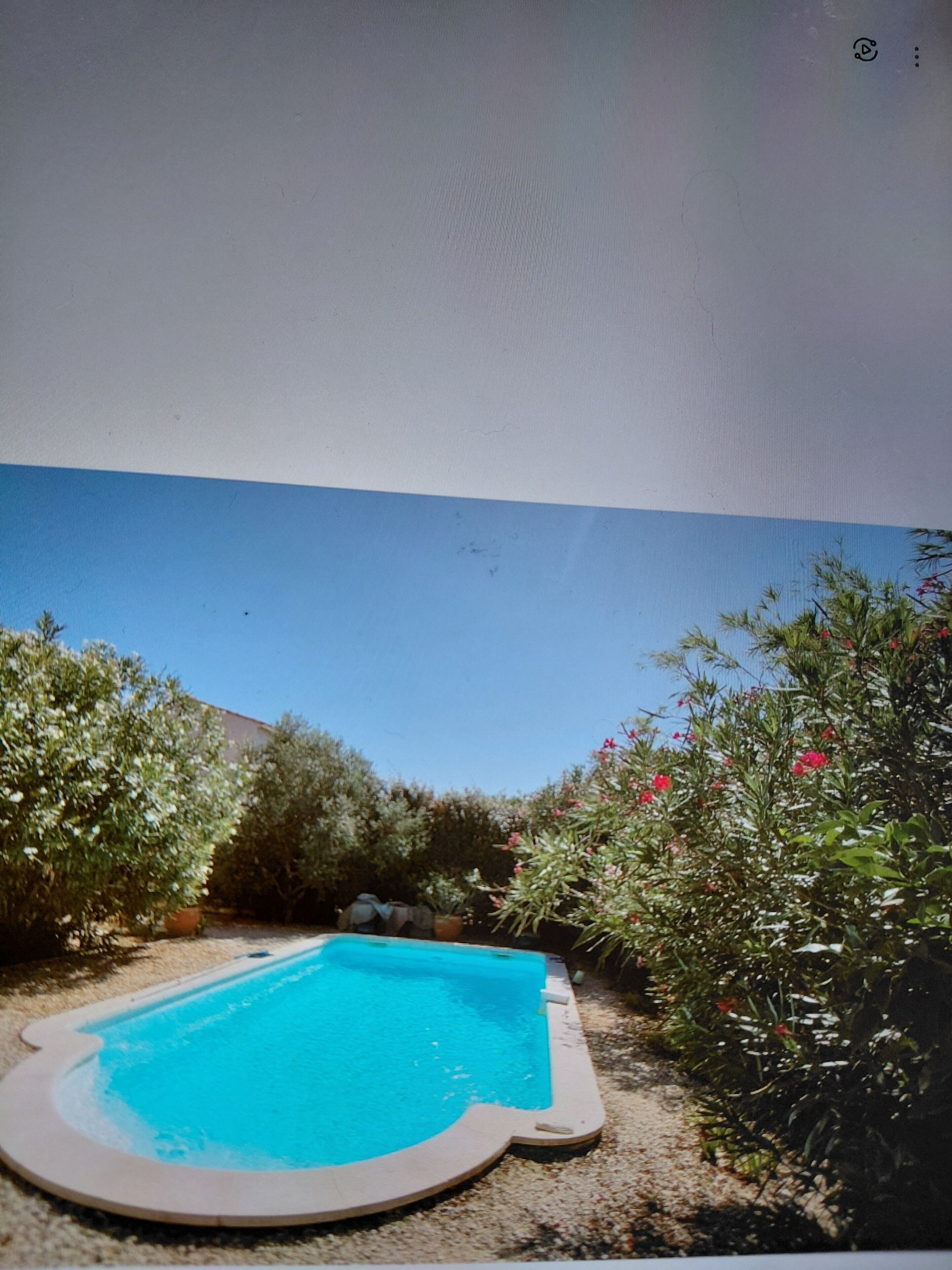 Une piscine entourée de verdure, sous un ciel dégagé.