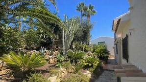 A courtyard with a stone pathway, cacti, and palm trees. - Casa Voskamp your dream vacation with sea view near beach & center in Moraira! (Teulada)