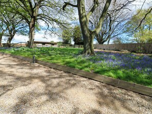 Property grounds - Flaxstead Grange (Houghton le Spring)