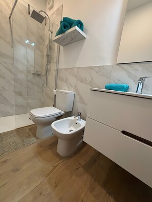 Shower, hair dryer, towels