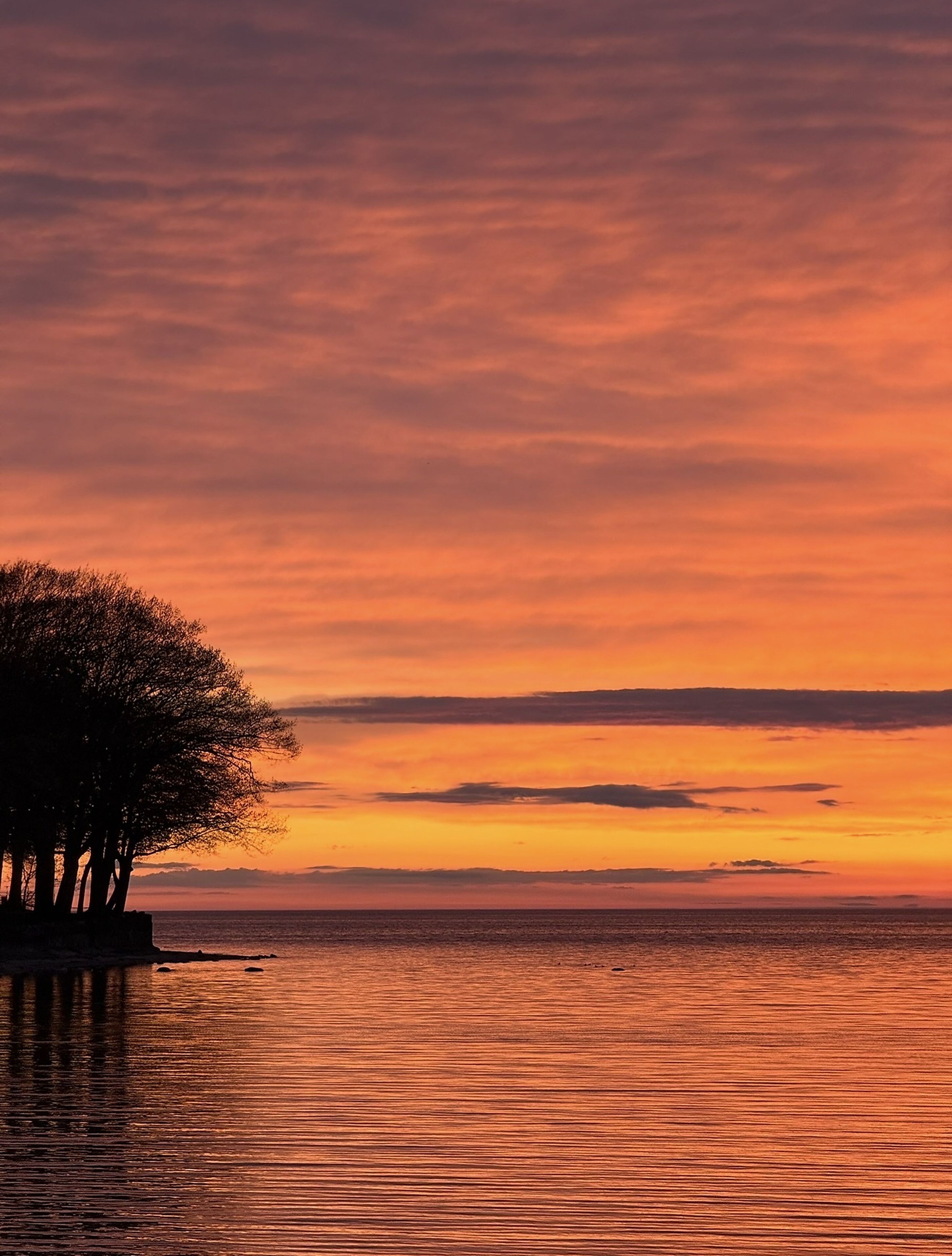 Sunset 1 minute walk from house through direct beach path. 