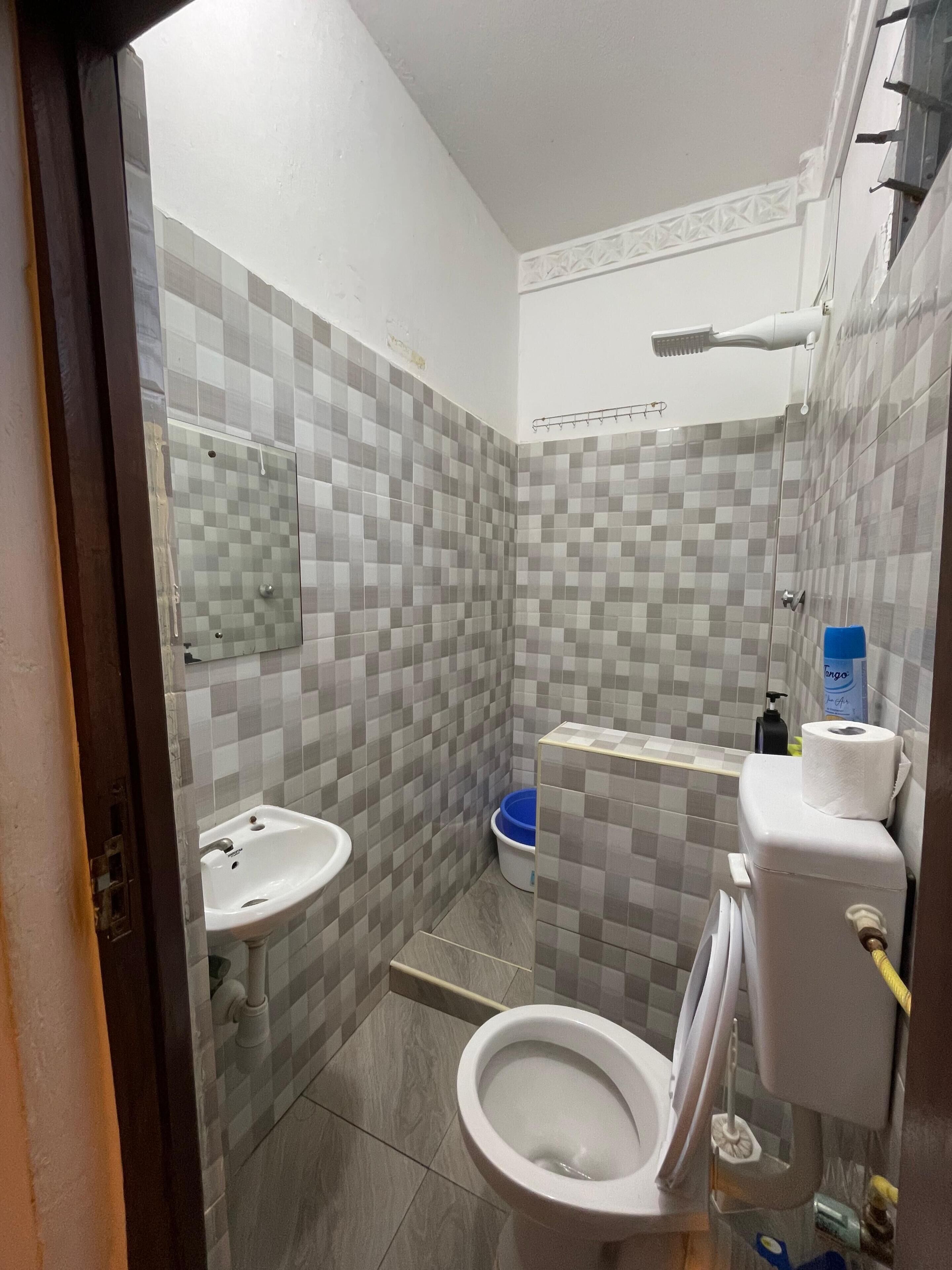Shower, bidet, towels, soap