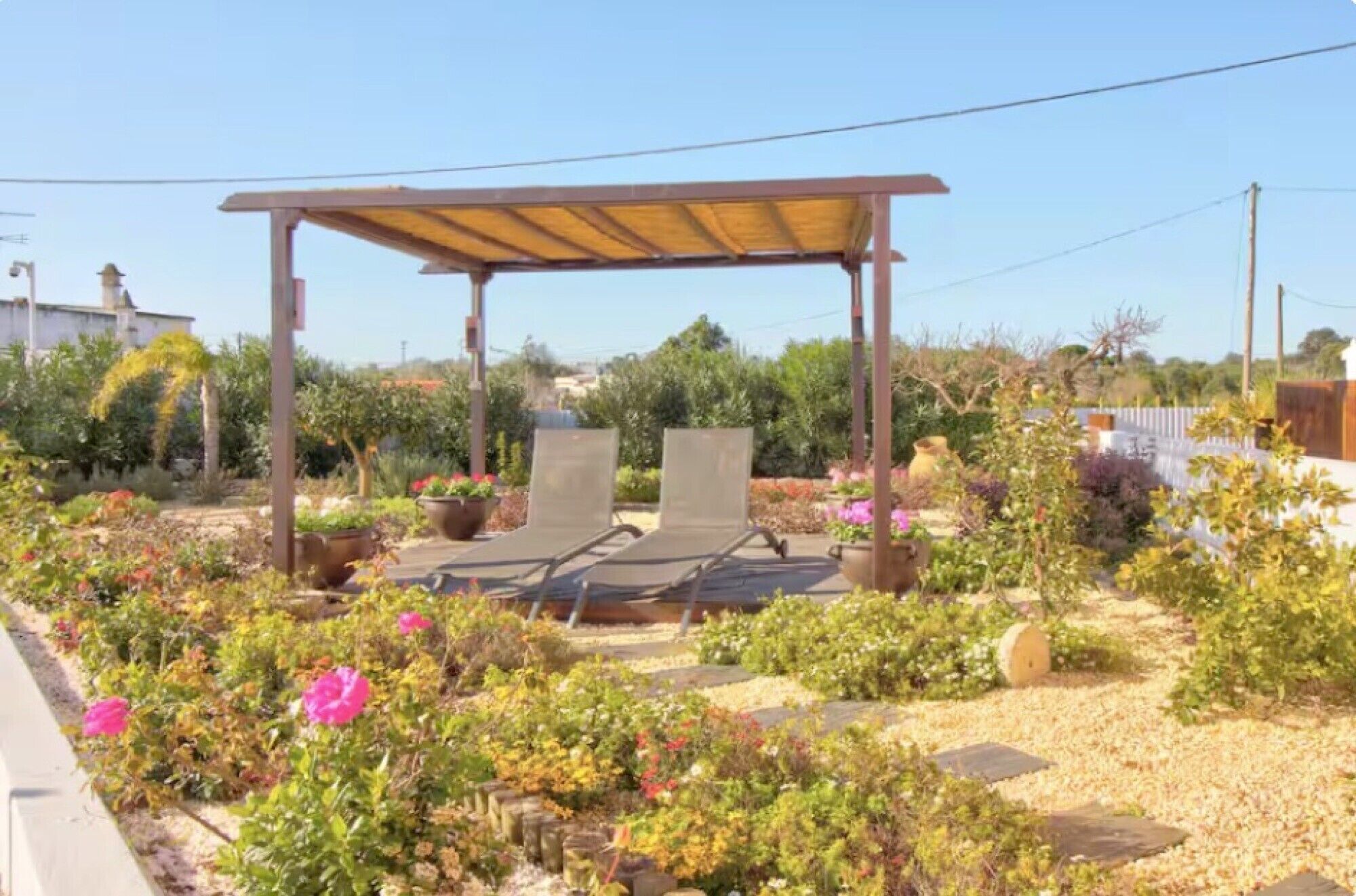 Een tuin met een pergola, twee lounge stoelen en verschillende planten.