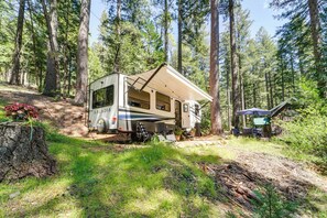 Interior - Wooded Getaway w/ Beautiful Views in Nevada City! (Nevada City)