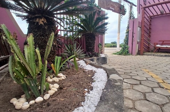 Uma trilha pavimentada com pedrinhas brancas, uma planta de cacto e uma palmeira em um jardim.