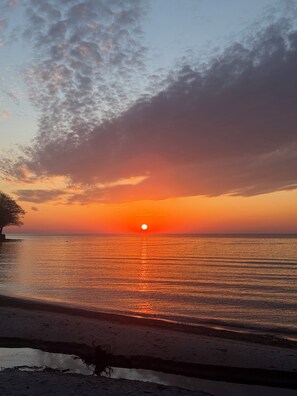 Tramonto sul mare calmo, con la silhouette di un albero a sinistra.