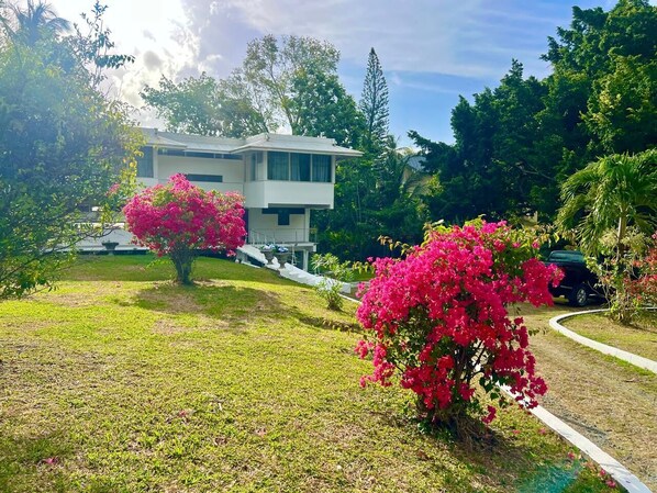 Een modern huis met twee verdiepingen, een verzorgd gazon en bougainvillea-struiken.