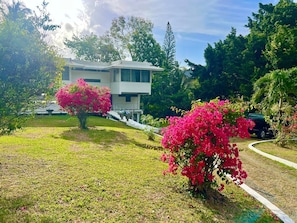 Una casa moderna de dos pisos con un césped cuidado y arbustos de buganvilla.