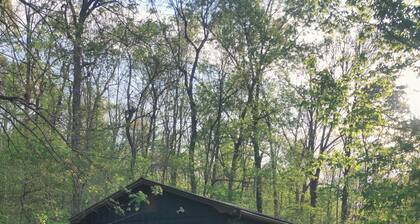 Secluded Ozark Cottage, Huge Deck, 2 Min to Downtown Leslie
