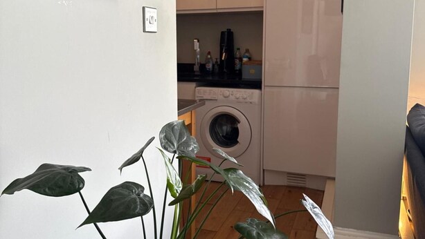 A laundry area with a washing machine, a shelf with bottles, and a potted plant. - Hackney Road Studio Near Shoreditch Markets (London)