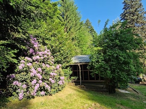 Um jardim com um gazebo, cercado por vegetação densa e arbustos floridos.