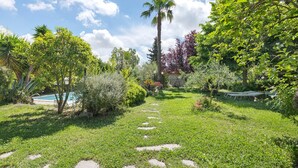 A lush garden with a palm tree, a pool, and a stone pathway.