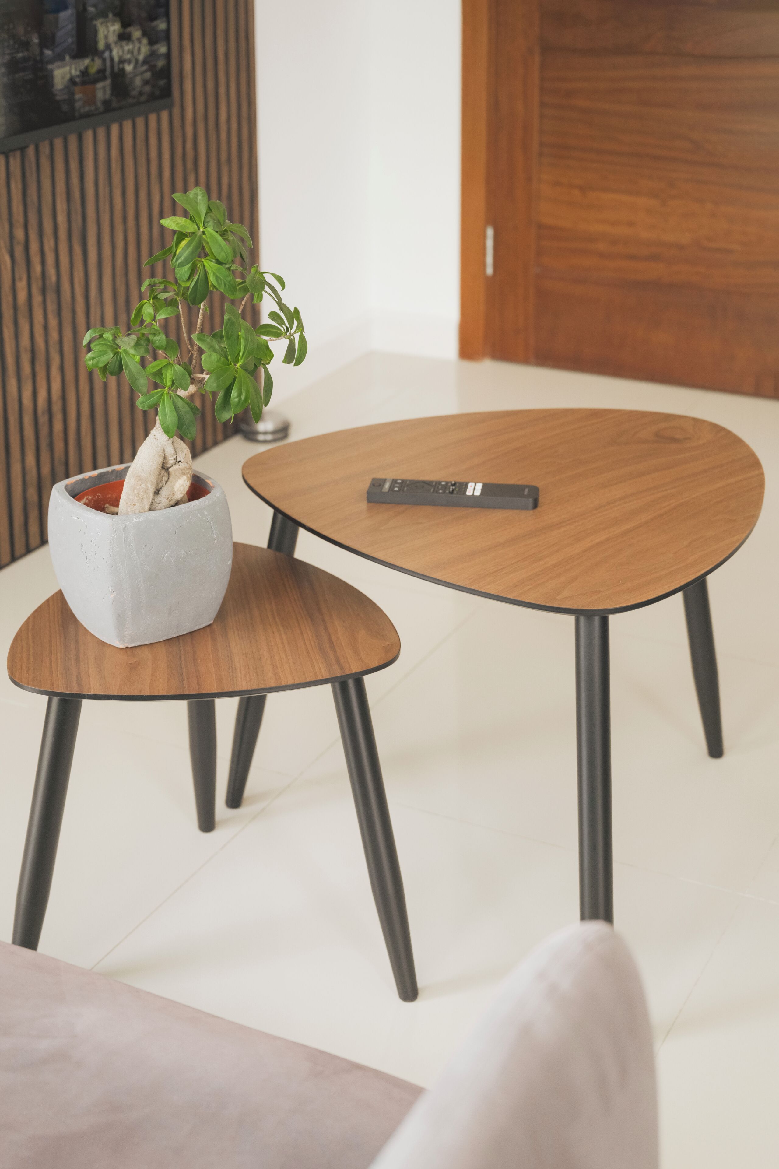 Ein runder Holztisch mit Fernbedienung, einer Topfpflanze und einem kleinen Hocker.
