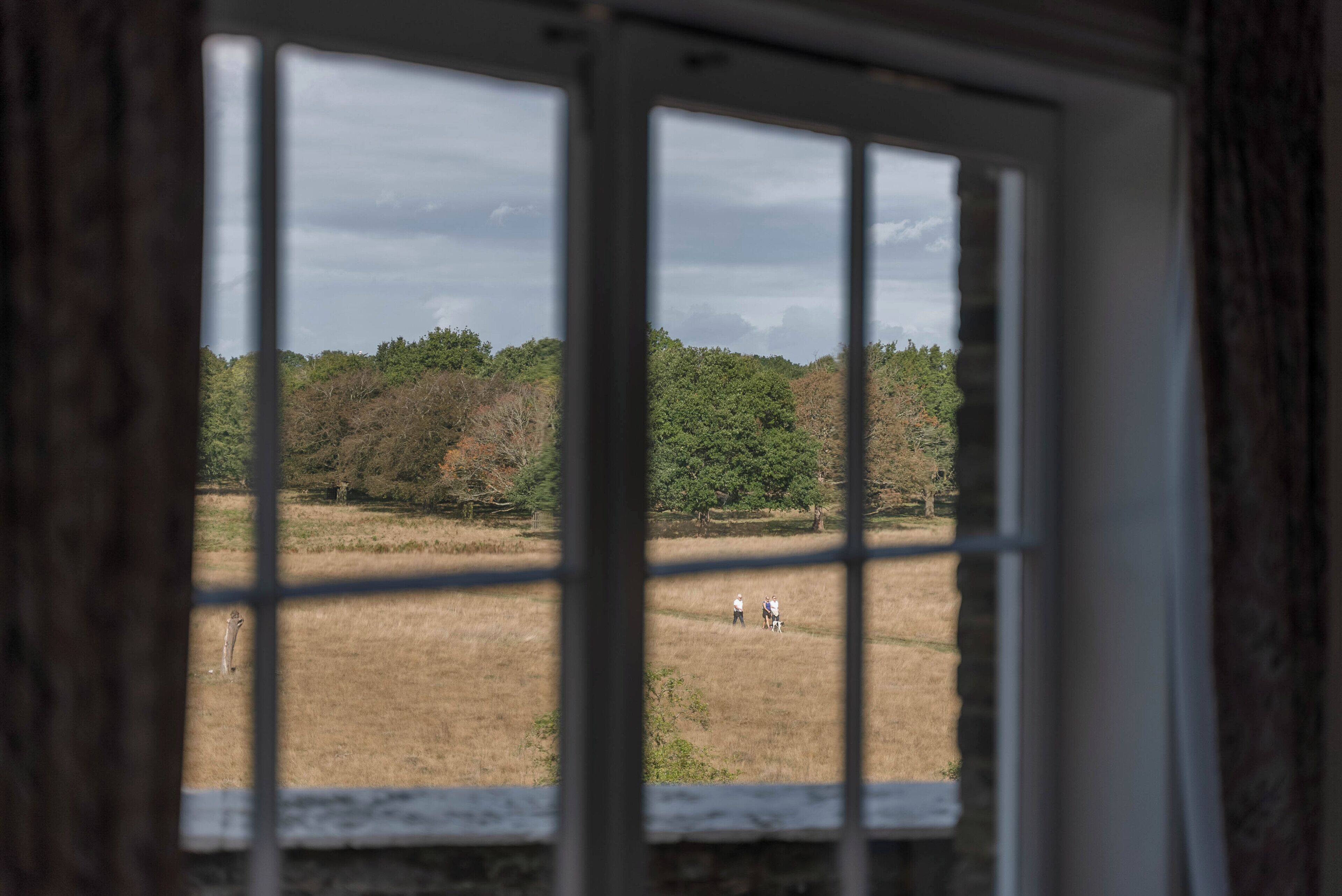 A window with a view of a field and trees.