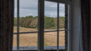 Ein Fenster mit Blick auf ein Feld und Bäume.