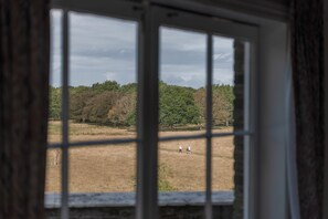 Ein Fenster mit Blick auf ein Feld und Bäume.