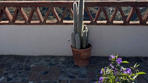 A cactus in a terracotta pot on a balcony with a view of the sea and hills. - Oasis of well-being, breathtaking sea view, pool, 4 bedrooms (Carraspite)