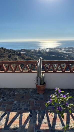 Property grounds - Oasis of well-being, breathtaking sea view, pool, 4 bedrooms (Carraspite)