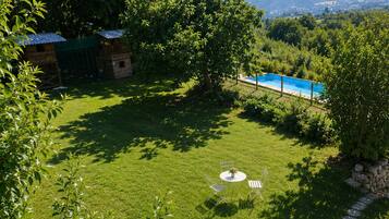 Un camp verd i abundant amb una piscina petita i una cabana de fusta.