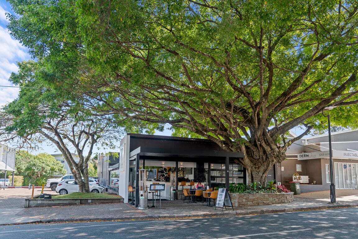 A café with outdoor seating under a large tree, a visible storefront, and parked cars.