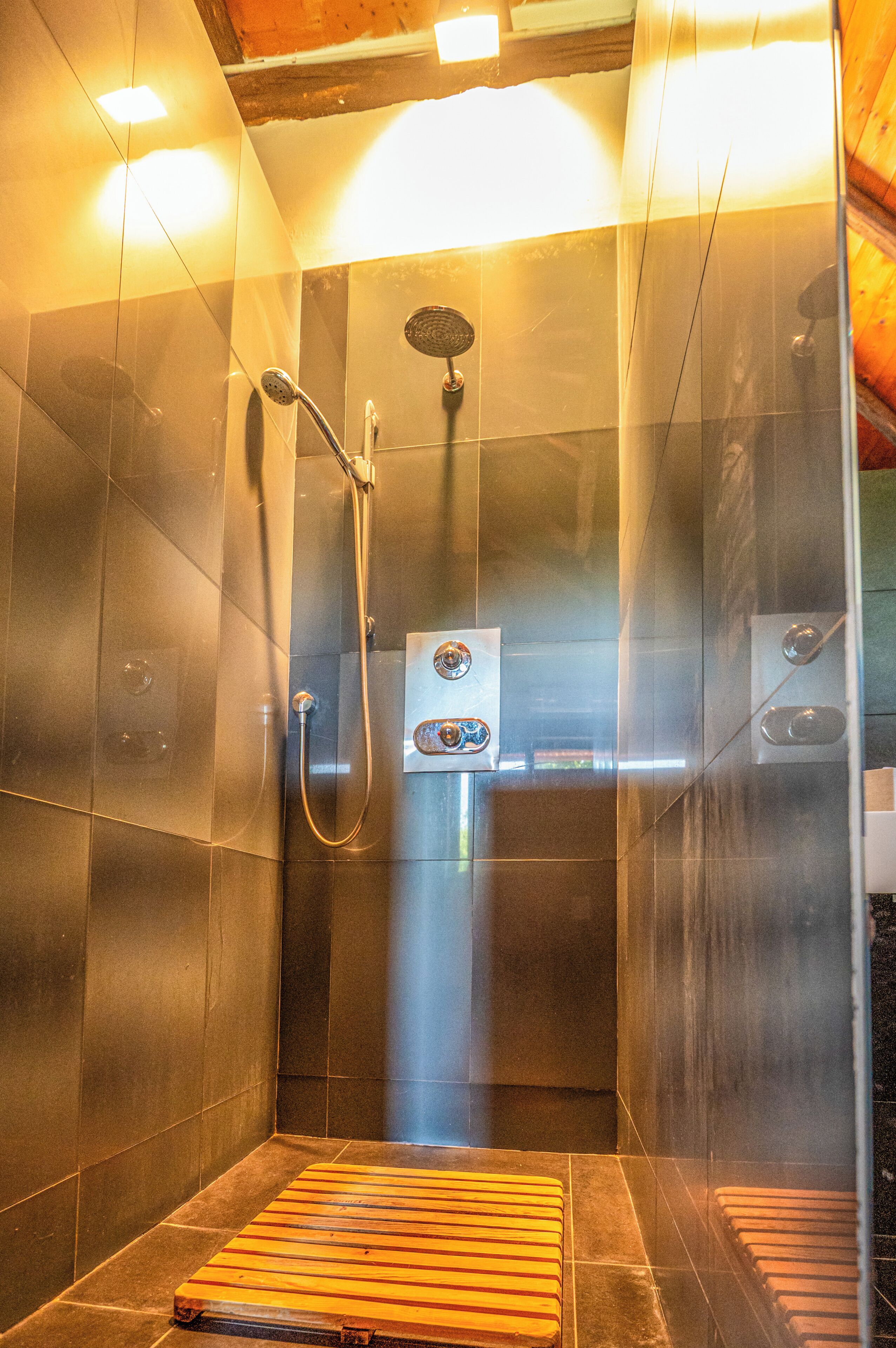 Un espace douche doté d’une porte en verre, d’un pommeau de douche et d’un panneau de commande.
