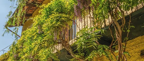 外观细节