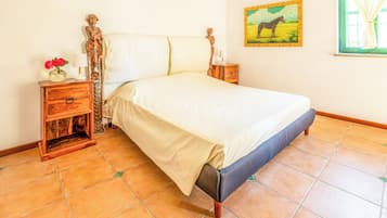 Iron/ironing board, free WiFi