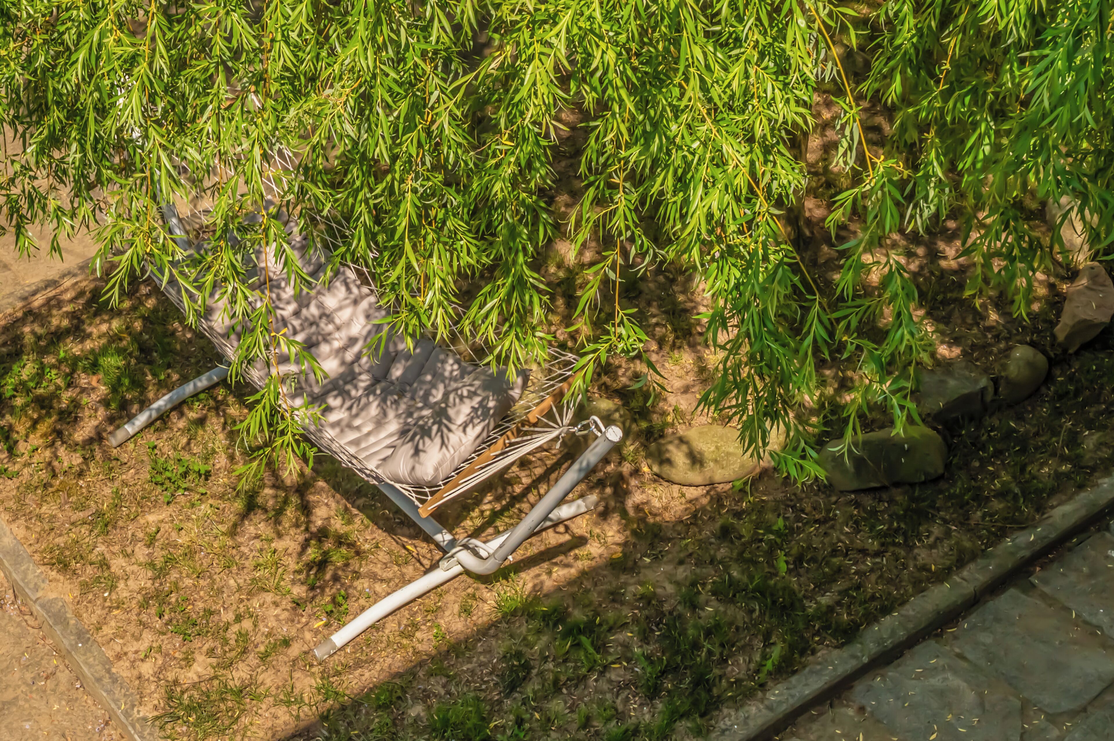 Un jardín con una silla y una mesa pequeña, rodeado de follaje y rocas.