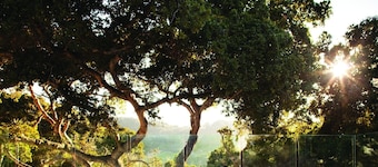 Carmel Valley Ranch
