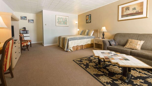 Una habitación con cama, sofá, mesa de comedor y una mesita de centro. Hay sillas, una lámpara y un cuadro en la pared.