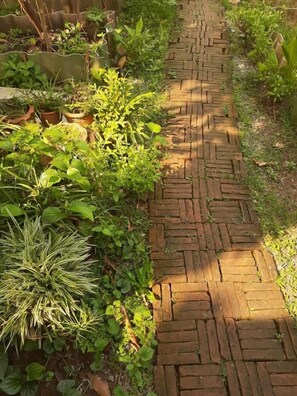 Jardín