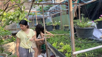 A greenhouse with a metal frame, potted plants, and a water irrigation system.
