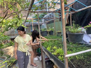 Outdoor dining - Baanboon (Bangkok)